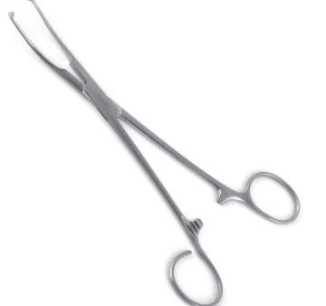 Allis-Coakley Tonsil Forceps - Slightly Curved Fashion